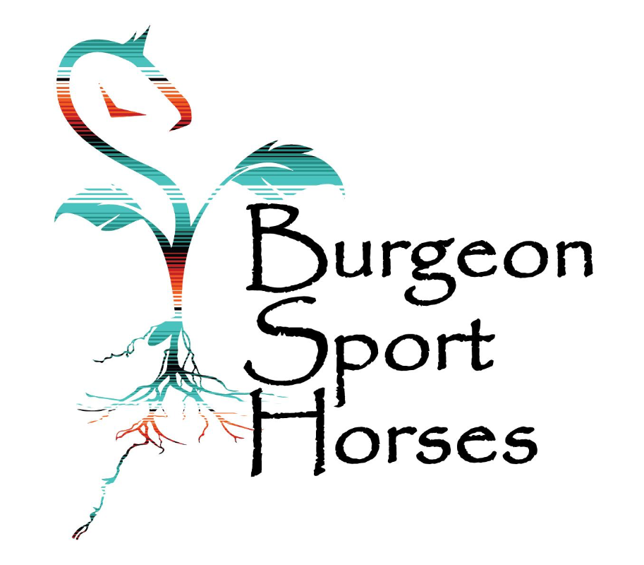 Burgeon Sport Horses In Pleasanton CA - Styles | Vagaro